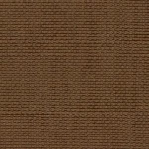 BUNGALOW Texture Molasses