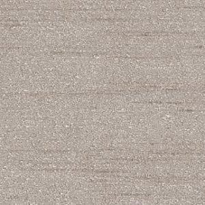 ETCHED Silica
