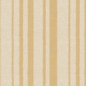 KLEIN Stripe Parchment