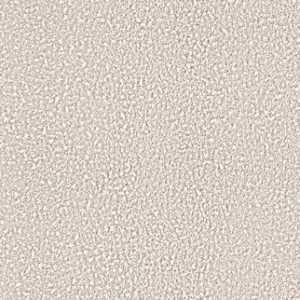 STETSON Vinyl Canvas