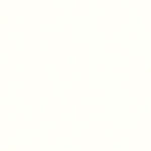 SOLID COLOR Hybrid Crisp White